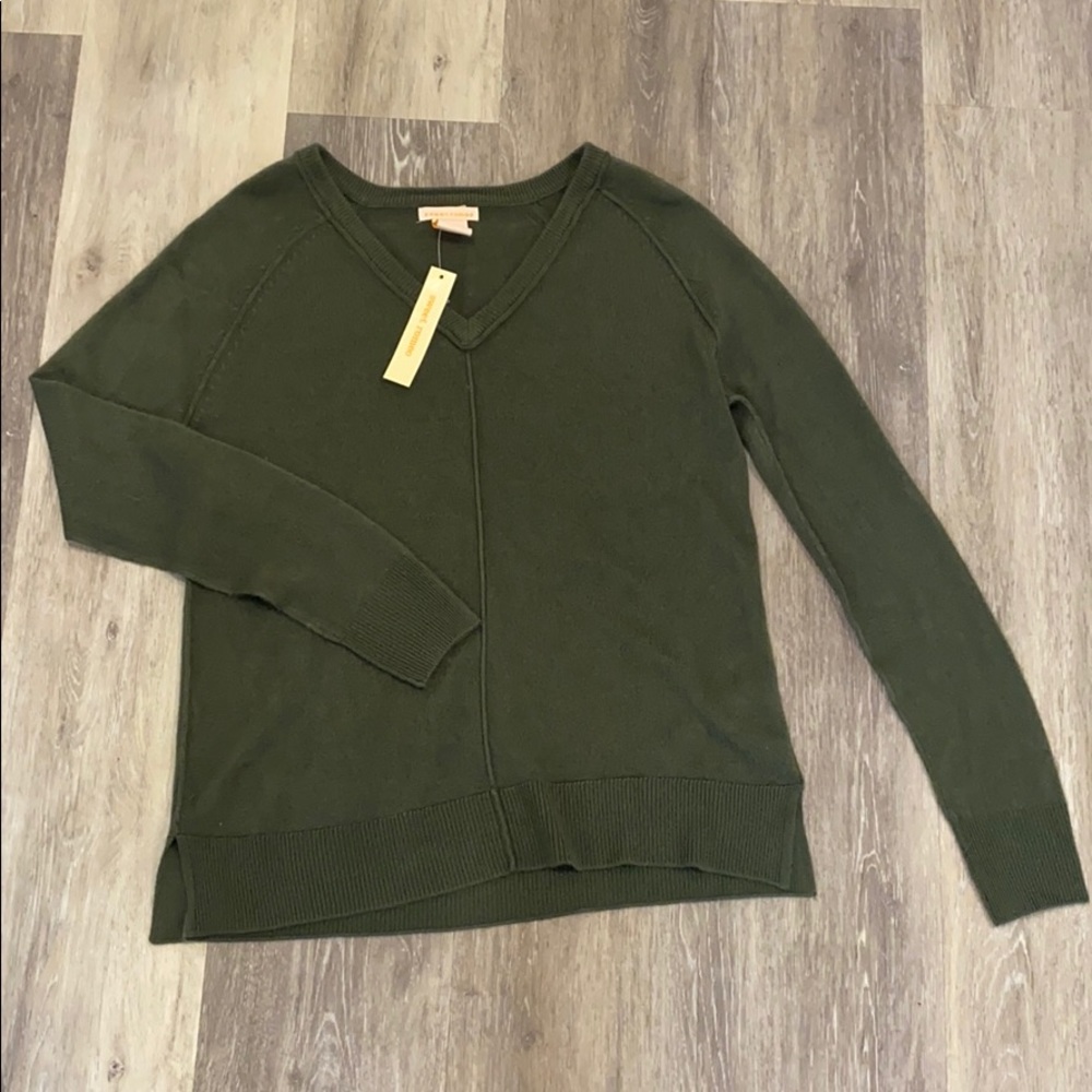 NWT Green V neck sweater size small